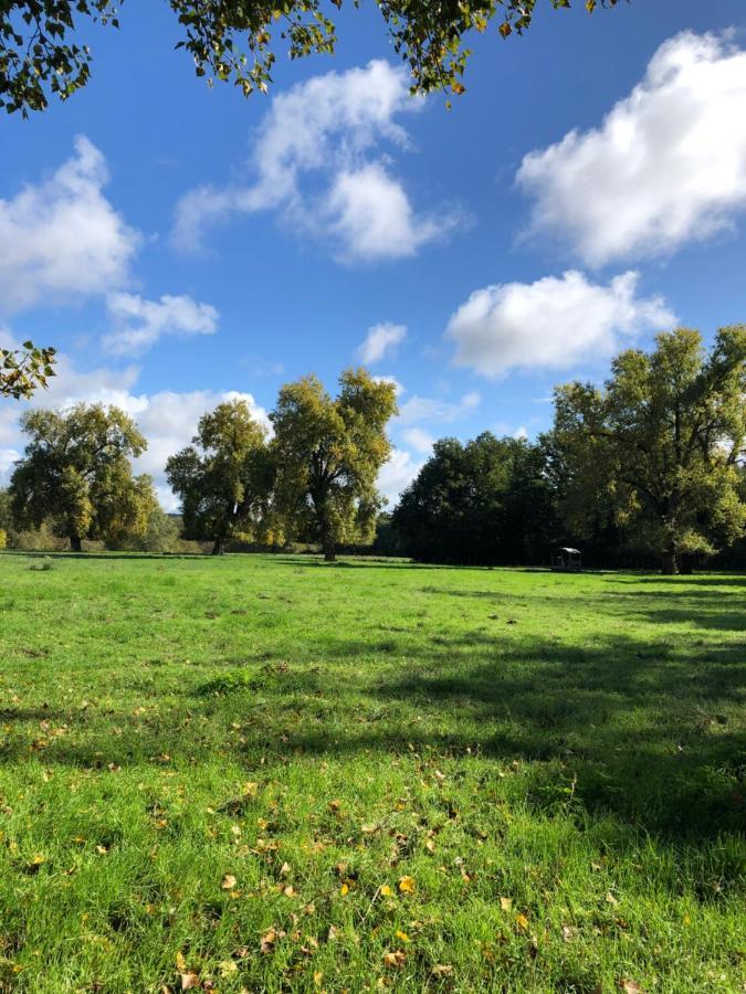 La Gouronerie Panzió Parcay-sur-Vienne Kültér fotó