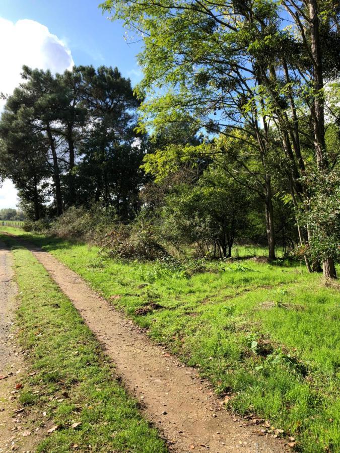 La Gouronerie Panzió Parcay-sur-Vienne Kültér fotó