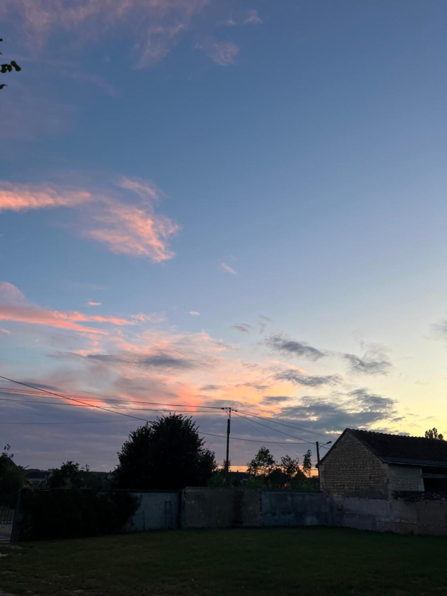 La Gouronerie Panzió Parcay-sur-Vienne Kültér fotó